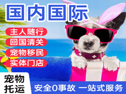 呼伦贝尔海拉尔航空空运国际宠物托运 【国